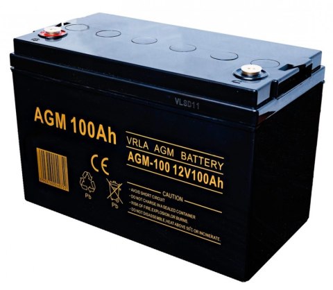 Zasilacz Awaryjny 800VA/500W+ AGM 100Ah Stała faza