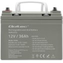 Qoltec Akumulator AGM | 12V | 36Ah | max.540A