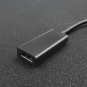 Adapter USB typ C męski/DP żeński | 4K | 23cm