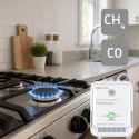 Qoltec Certyfikowany Czujnik wycieku gazu ziemnego i tlenku węgla (czadu) | detektor CH4 CO | żywotność sensora 5 lat | alarm 8