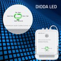 Qoltec Certyfikowany Czujnik wycieku gazu ziemnego i tlenku węgla (czadu) | detektor CH4 CO | żywotność sensora 5 lat | alarm 8