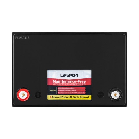 Akumulator LiFePO4 100Ah z BMS