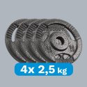 Obciążenie żeliwne zestaw 4x2.5kg, otwór 31mm, talerz z uchwytami, REBEL ACTIVE