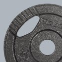 Obciążenie żeliwne zestaw 4x2.5kg, otwór 31mm, talerz z uchwytami, REBEL ACTIVE