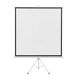 Ekran projekcyjny stojący Cabletech 200x200cm 100